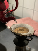 Coffee filter Hario V60 02